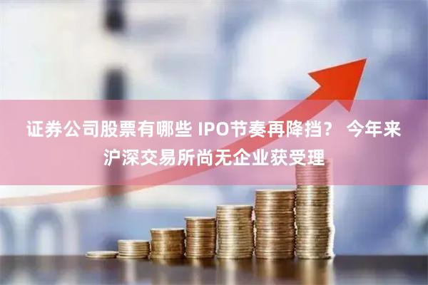 证券公司股票有哪些 IPO节奏再降挡？ 今年来沪深交易所尚无企业获受理