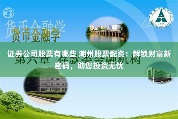 证券公司股票有哪些 潮州股票配资：解锁财富新密码，助您投资无忧