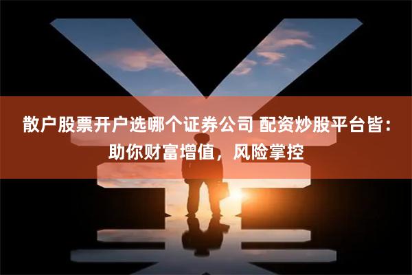 散户股票开户选哪个证券公司 配资炒股平台皆：助你财富增值，风险掌控